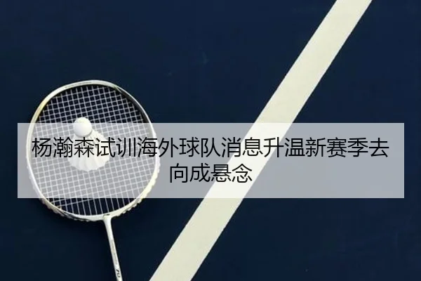 杨瀚森试训海外球队消息升温新赛季去向成悬念
