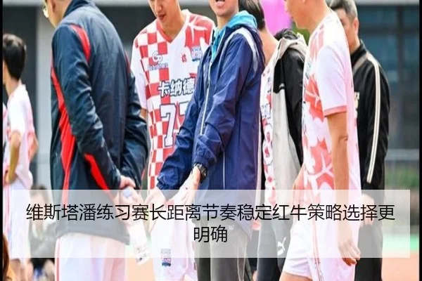维斯塔潘练习赛长距离节奏稳定红牛策略选择更明确